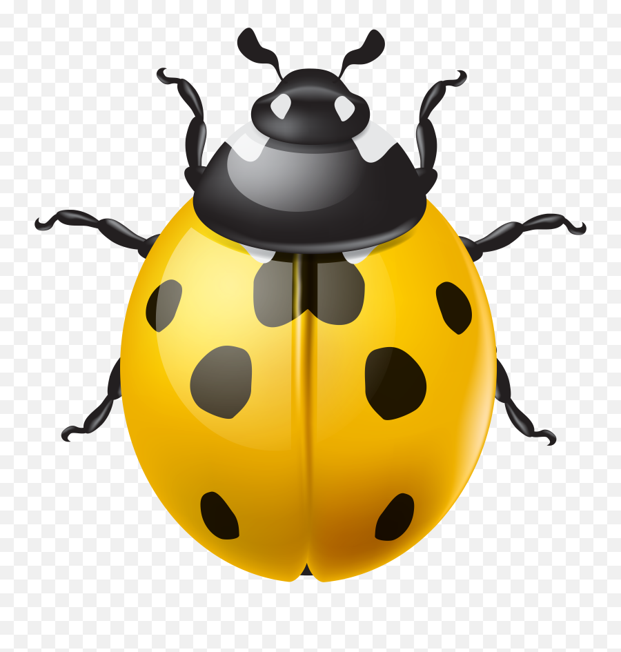 19825 Yellow Free Clipart Emoji,Ladybug Emoji