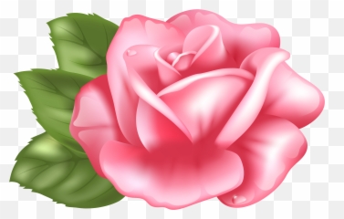 Pink Rose Clipart Transparent Background - Pink Rose Clipart Transparent Emoji,Pink Rose Emoji