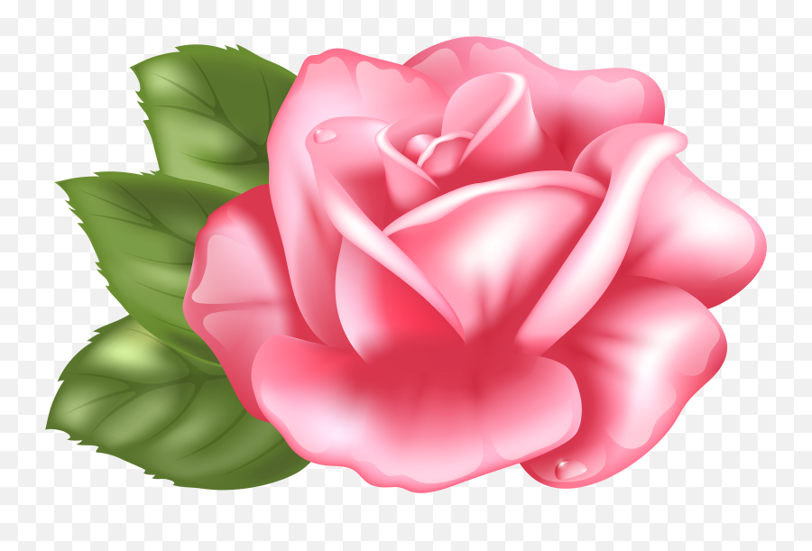 Pink Rose Clipart Transparent Background - Pink Rose Clipart Transparent Emoji,Pink Rose Emoji