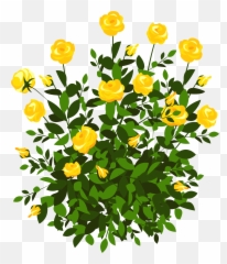 Transparent Flower Bush Clipart - Yellow Rose Illustration Emoji