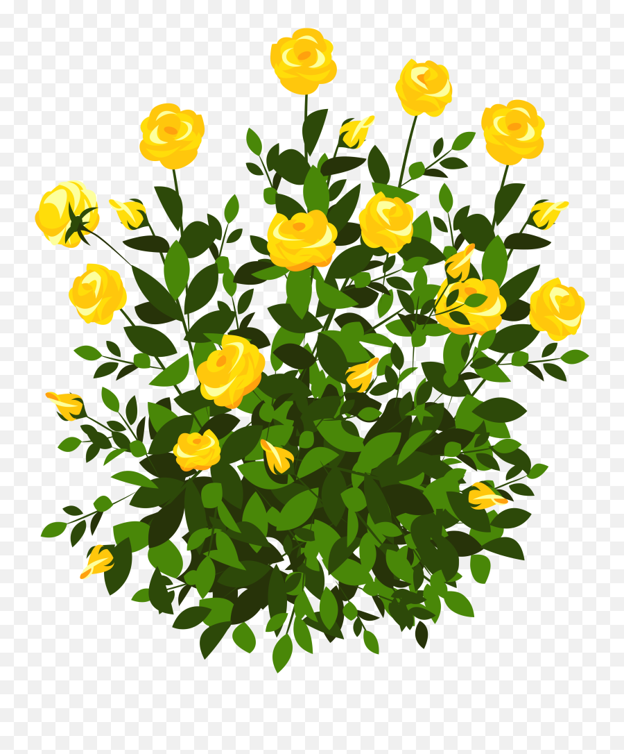 Transparent Flower Bush Clipart - Yellow Rose Bush Illustration Emoji,Shrub Emoji