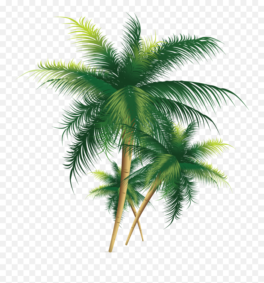 Download Coconut Tree Exquisite Free Hd Image Clipart Png - Coconut Tree Png Transparent Background Emoji,Palm Tree Emoticon