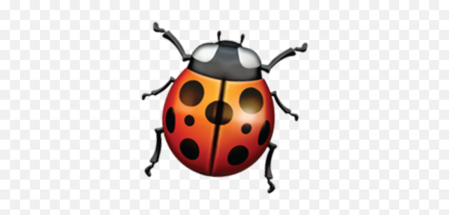 Portfolio Morganize - Ladybug Emoji Iphone,Ladybug Emoji