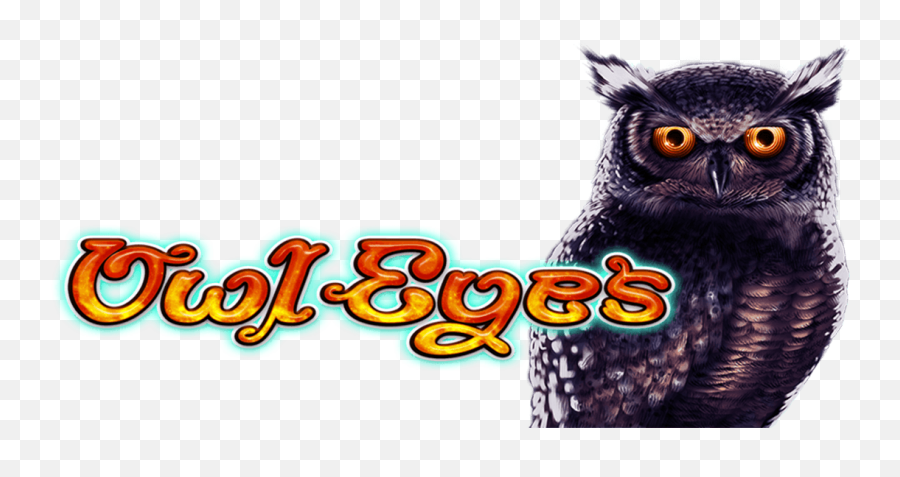 Great Horned Owl Hd Png Download - Owls Emoji,Drake Owl Emoji