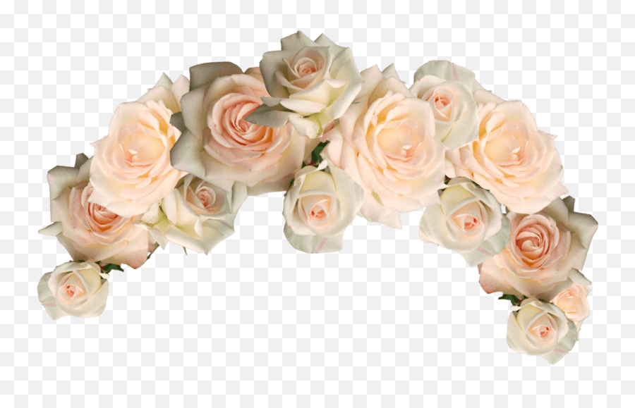 Flower Crown Png Transparent - White Flower Crown Png Emoji,Flower Crown Emoji