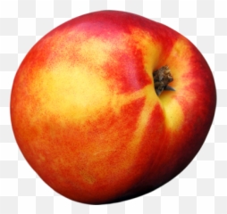 Fruit Png And Vectors For Free Download - Single Peach Transparent Background Emoji,Passion Fruit Emoji