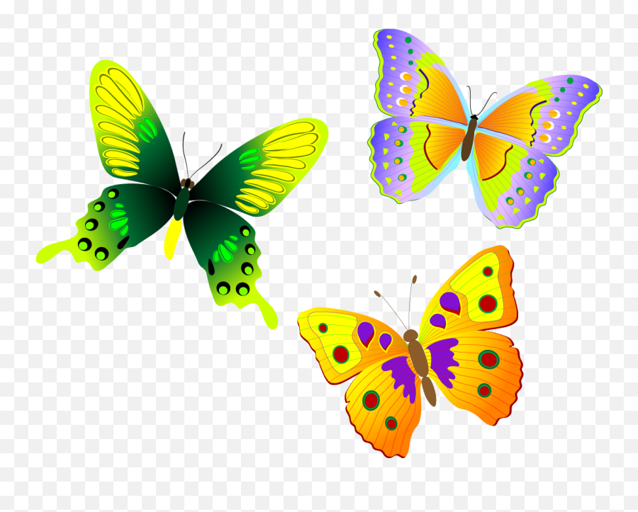 Png Official Psds Share - Butterfly Vector Free Clipart Colorful Butterfly Vector Emoji,Butterfly Emoticon
