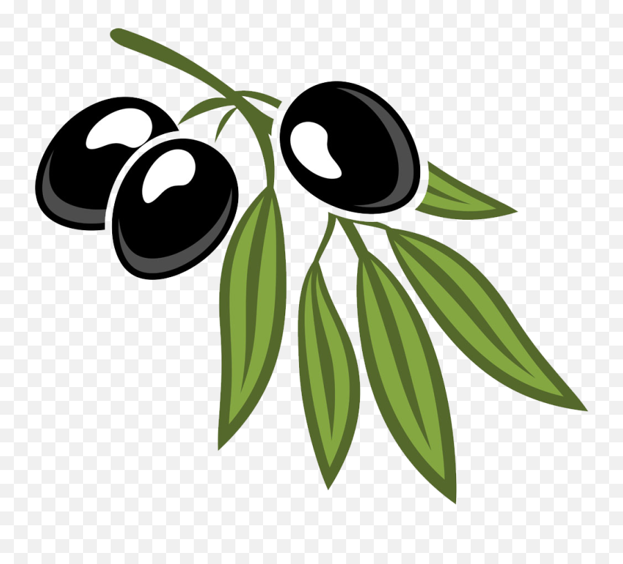 Leaf Cartoon Royalty Free Olives And Foliage - Cartoon Cartoon Pictures Of Olive Emoji,Olive Emoji