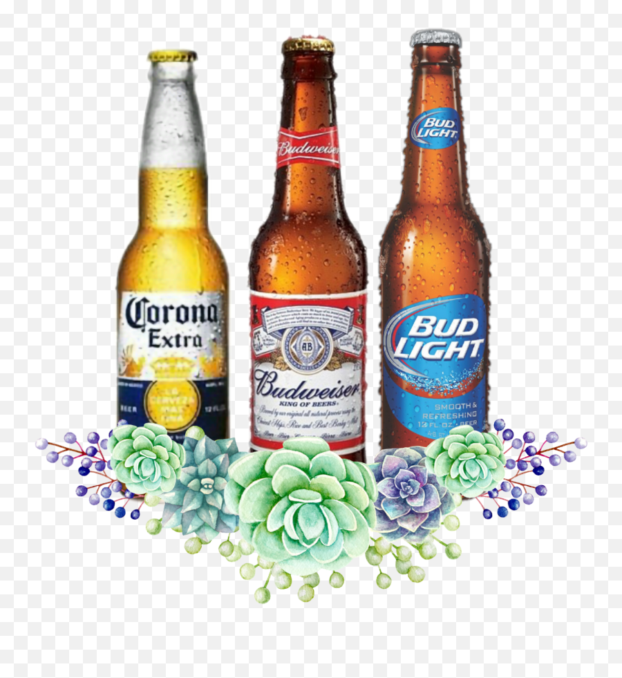 Beer Sticker By Shania Bray - Corona Beer Emoji,Beers Emoji