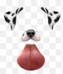 dog snapchat and overlay Overlays - Snapchat Dog Filter Png Emoji