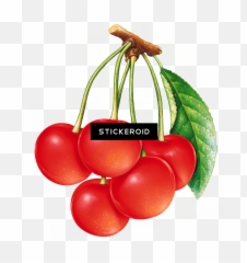 Cherries Cherry Fruits Nuts Clipart - Fruits Painted Emoji,Cherries Emoji