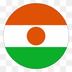 Roundel Of Niger - Dc Fly On The Wall Emoji