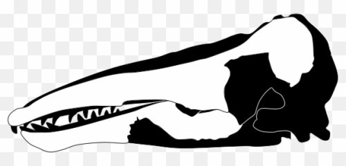 Charlotte Whale - Clip Art Emoji
