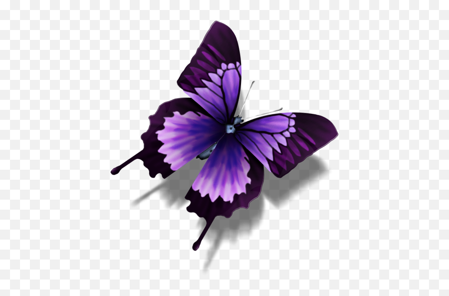 Other Butterfly Icon - Purple Butterfly Transparent Background Emoji,Butterfly Emoji Png