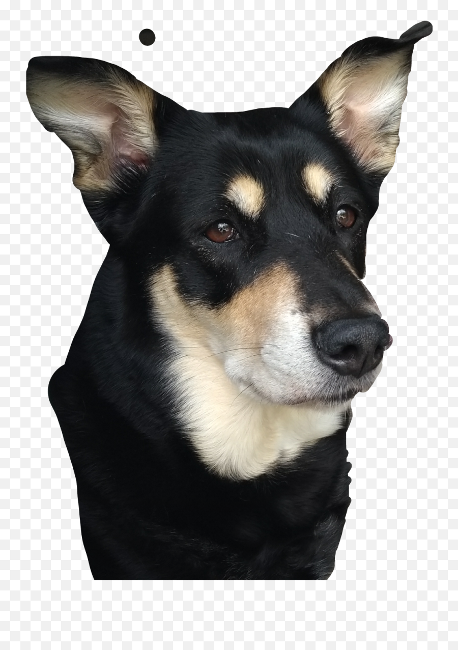 Eve Dog Dogs Bark - Companion Dog Emoji,Barking Dog Emoji