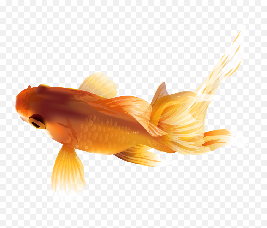 Transparent Background Goldfish Clipart Emoji,Goldfish Emoji