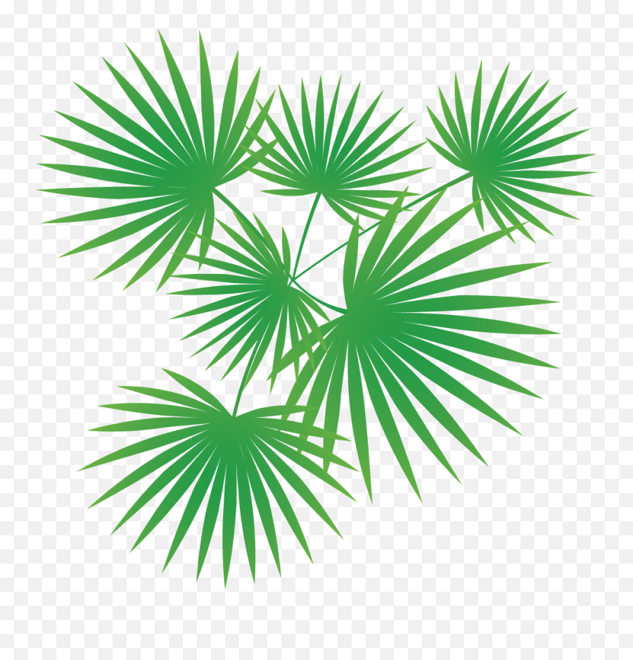 Palm Tree Vector Vector Images Icon Sign And Symbols - Palm Tree Icon Vector Png Emoji,Palm Tree Emoji
