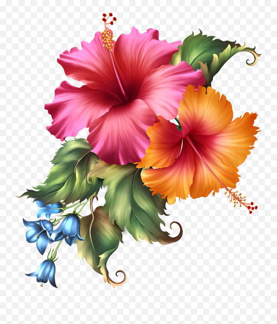 Fashionably Florale - Fleurs Exotiques Hybiscus Dessin Emoji,Hibiscus Emoji