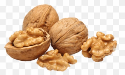 Nuts Walnut - Walnut Png Emoji,Walnut Emoji