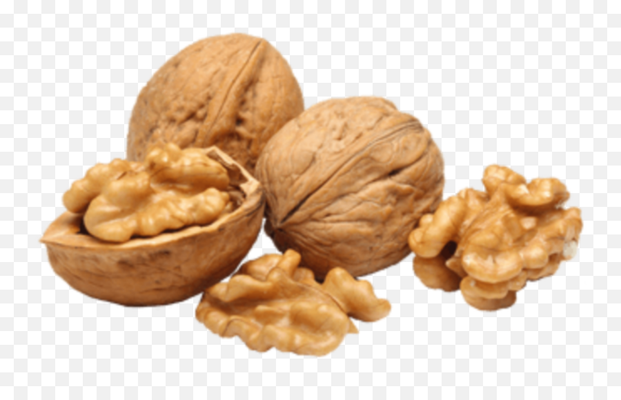 Nuts Walnut - Walnut Png Emoji,Walnut Emoji