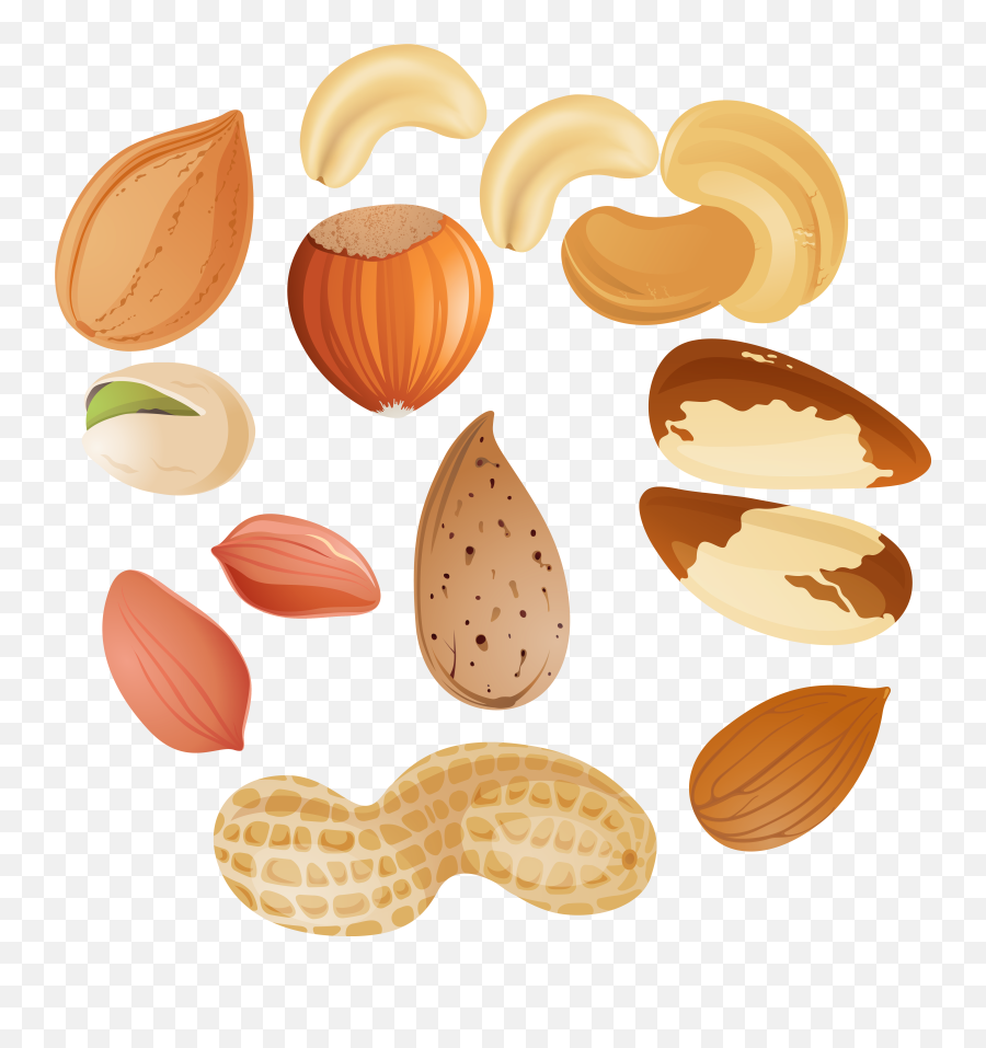 Nut Clipart Nut Transparent Free For Download - Nuts Clipart Emoji,Nuts Emoji