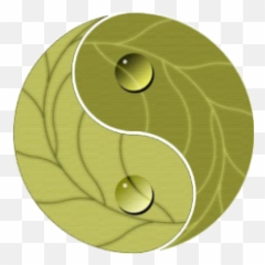 Wall Stickers Yin And Yang Green - Yin And Yang Emoji,Yin Yang Emoticon