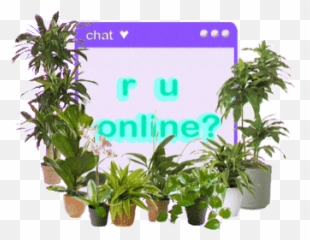 Top Ru Girl Stickers for Android u0026 iOS Gfycat - Flowerpot Emoji