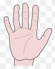 Hand Fingers Grip Grasp Seize - Hand Grabbing Clipart Transparent Emoji ...