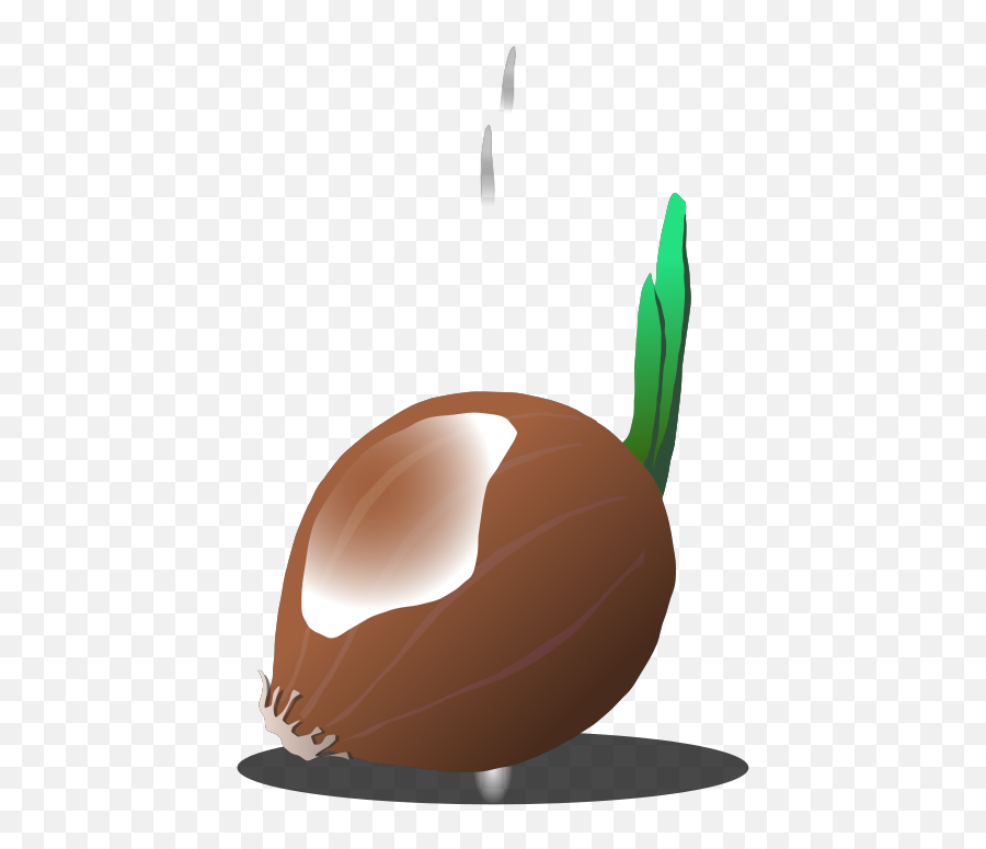 Onion Png Svg Clip Art For Web - Download Clip Art Png Fresh Emoji,Onion Emoji