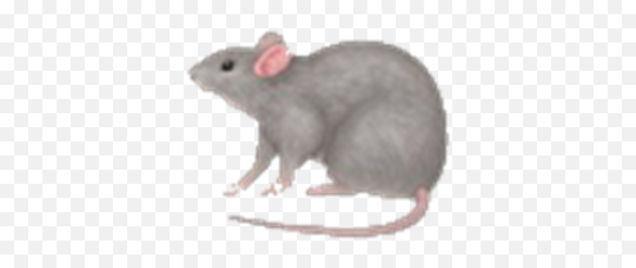 Rat Emoji - Rat Clipart Transparent,Rice Emoji