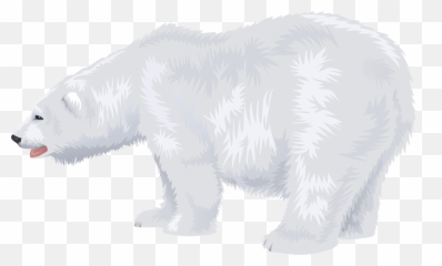 Polar Bear Transparent Clip Art Image - White Clipart Emoji