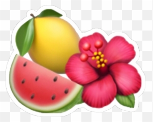 Lemon Watermelon Emoji Tumblr Tropical Iphoneemoji Pola - Hibiscus Flower Emoji Png,Lemon Emoji