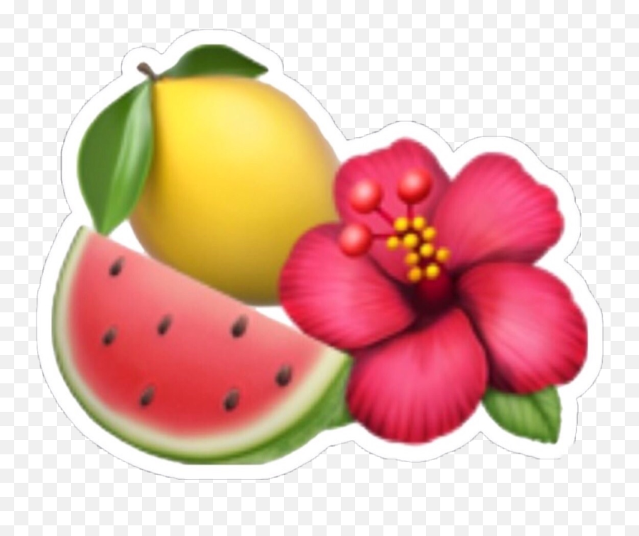 Lemon Watermelon Emoji Tumblr Tropical Iphoneemoji Pola - Hibiscus Flower Emoji Png,Lemon Emoji