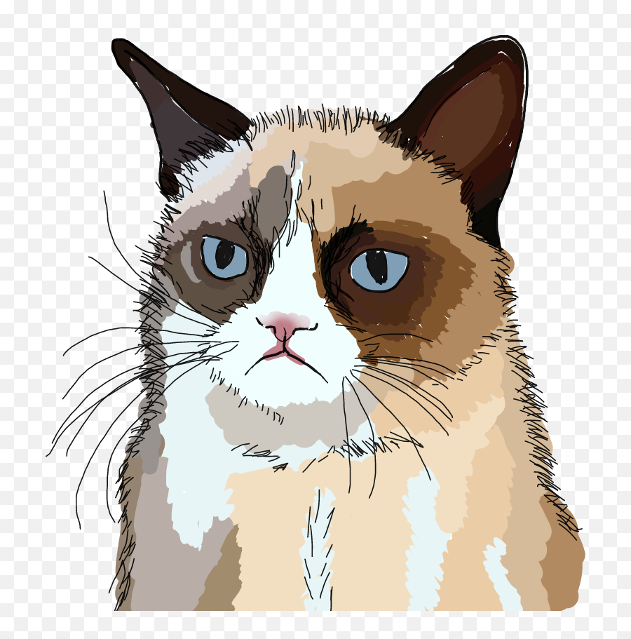 Grumpy Cat Sticker - Soft Emoji,Grumpy Cat Emoji - free transparent ...
