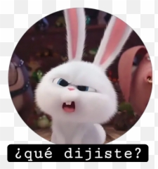 Frases Conejo Snowball Stickers For Whatsapp - Snowball Rabbit Emoji,Snowball Emoji
