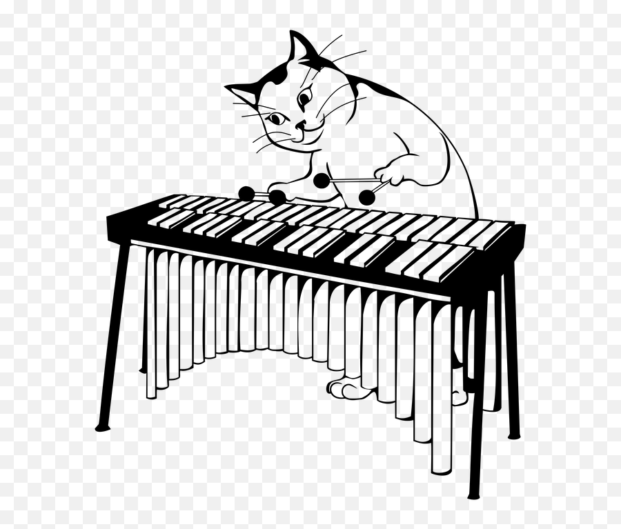 Percussion Jazz - Percussion Emoji,Cat Emoji Keyboard