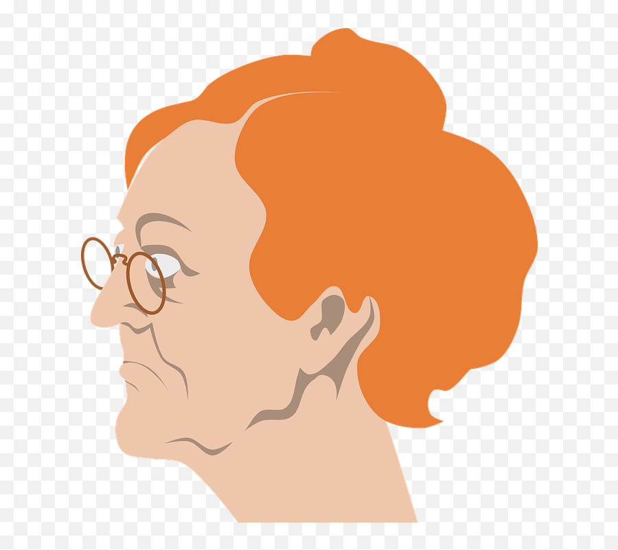 Free Spectacles Glasses Vectors - Grandmother Face Png Emoji,Grandma Emoji