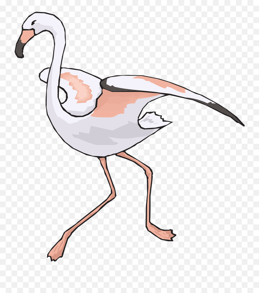 Bird Running Wings Flamingo Long - Png Emoji,Chicken Wings Emoji
