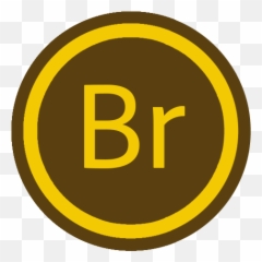 App Adobe Bridge Icon The Circle Iconset Xenatt - Circle Emoji,Bridge Emoji