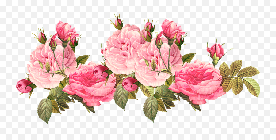 Download Free Png Vintage Rose Png Pink Roses Free Image - Transparent Pink Flowers Png Emoji,Pink Rose Emoji