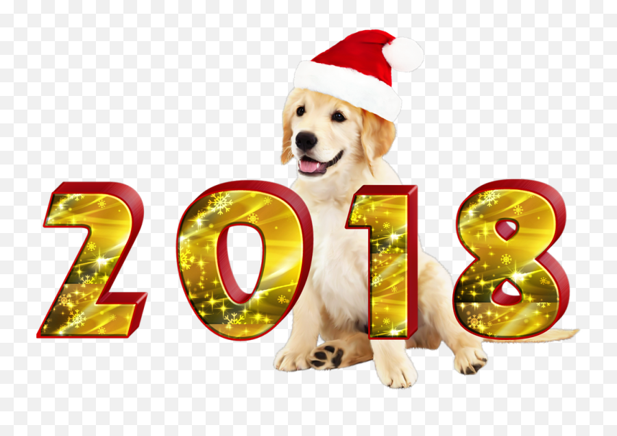 New Yearu0027s Resolutions From Your Dog New Yearu0027s Resolutions Dog - Happy Holidays Transparent 2018 Emoji,New Years Eve Emoji