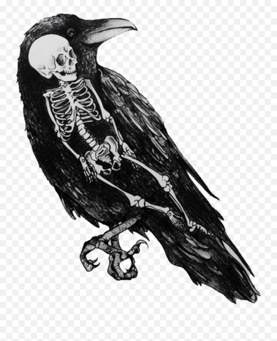 Raven Crow Bird Black Skull Sticker - Crow Death Art Emoji,Raven Bird Emoji