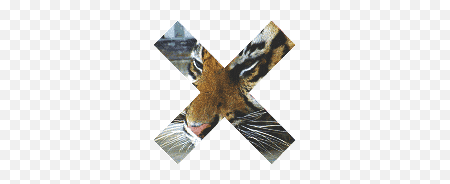 Top Lion Brings Down Giraffe Stickers - Tiger X Gif Emoji,Giraffe Emoji Android