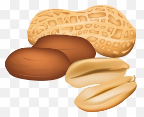 Peanut Clipart Jpg 2 - Nut Clipart Emoji,Peanut Emoji