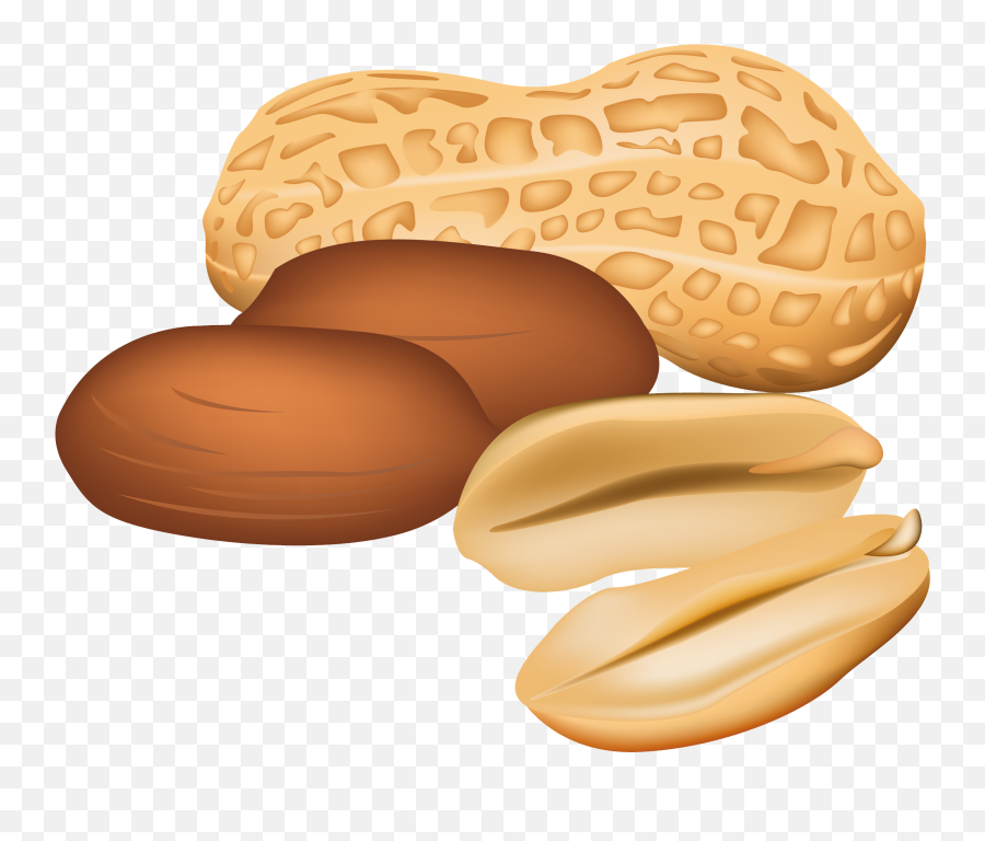 Peanut Clipart Jpg 2 - Nut Clipart Emoji,Peanut Emoji