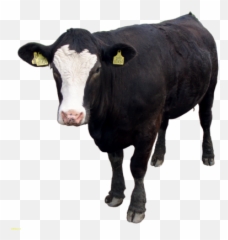 Cow Png And Vectors For Free Download - Black Emoji