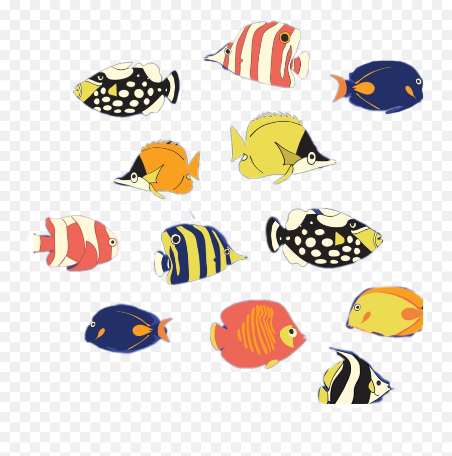 Tropicalfish Schooloffish Fish Fishes - Fish Emoji,Tropical Fish Emoji