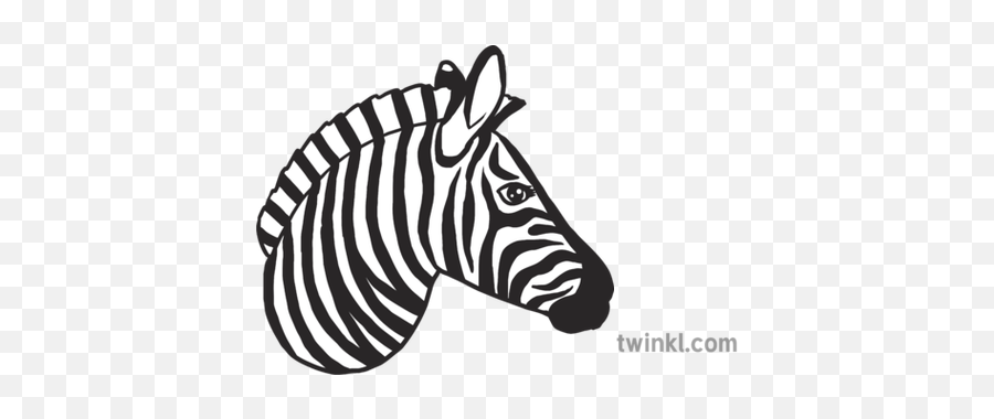 Zebra Emoji Animals Nature Twinkl Newsroom Ks2 Black And - Zebra,Zebra Emoji