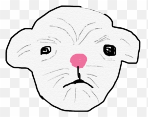 Doggy Maltese Kyki Freetoedit - Cat Yawns Emoji