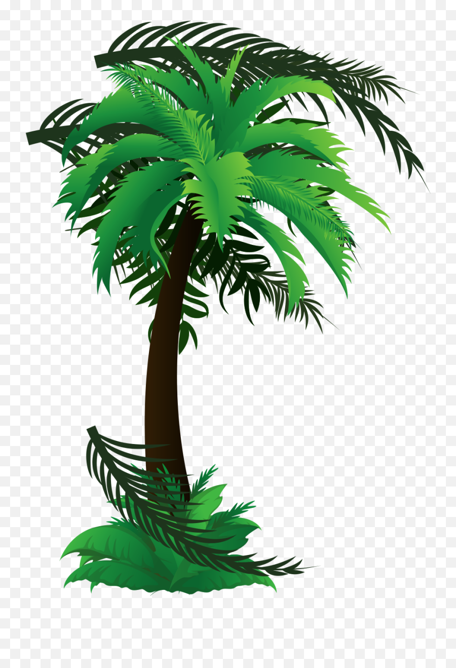 Palm Tree Emoji - Roystonea Hd Png Download Original Size Roystonea,Palm Tree Emoji Png